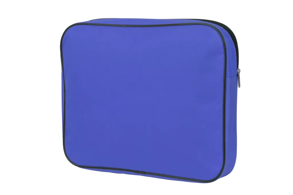 waltons-primeline-clear-front-colored-subject-sorter-bag-each-purple_2.jpg