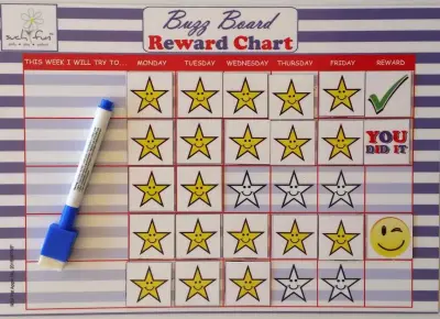 buzz-board-drywipe-board-a4-magnetic-reward-chart-plus-accessories.jpg