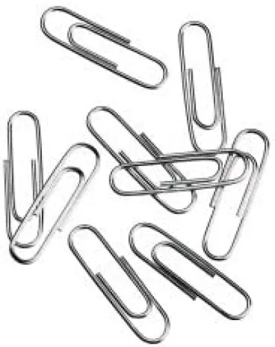 large-paper-clips-silver-30mm-bulk-pack-of-1000.jpg