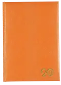 A5 PAGE-A-DAY LIZZY - PADDED / LIZZARD SKIN PATTERN - Orange image