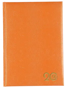 A5 PAGE-A-DAY LIZZY - PADDED / LIZZARD SKIN PATTERN - Orange