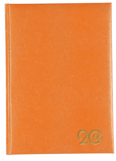 a5-page-a-day-lizzy-padded-lizzard-skin-pattern-orange.jpg