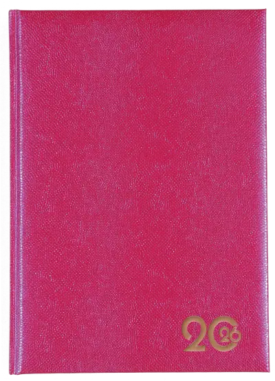 a5-page-a-day-lizzy-padded-lizzard-skin-pattern-magenta.jpg