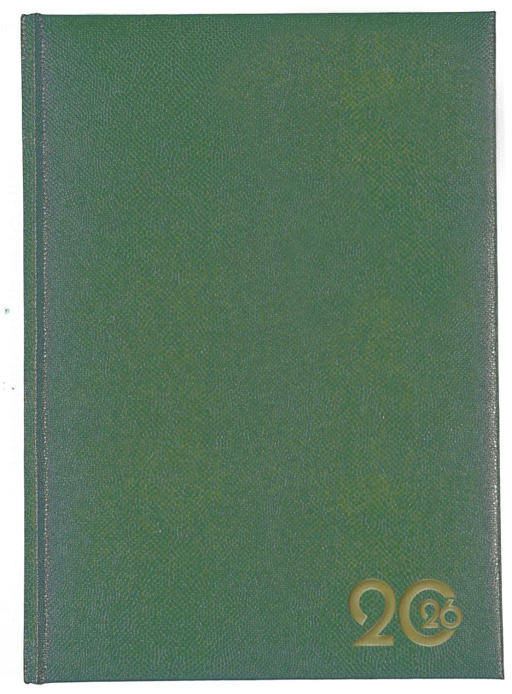 a5-page-a-day-lizzy-padded-lizzard-skin-pattern-olive.jpg