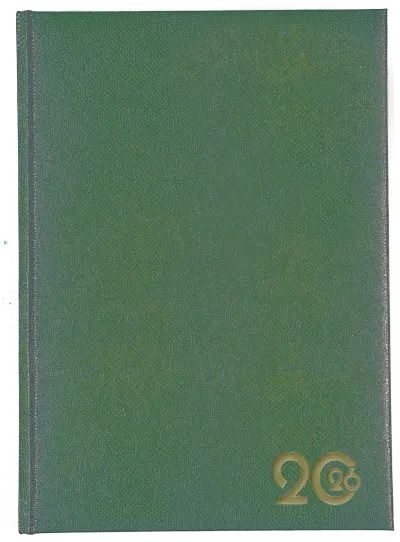 a5-page-a-day-lizzy-padded-lizzard-skin-pattern-olive.jpg