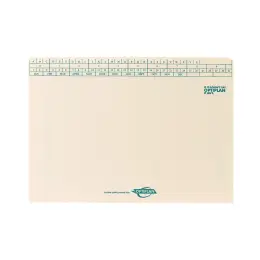 OPTIPLAN 410 Files L/W With Flap A4 Cream 120g 50Shts Cap Pack 100