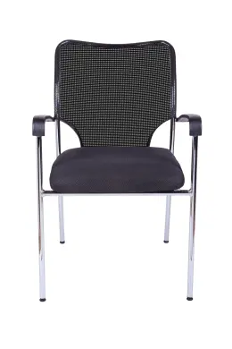 Ace Mesh Back 4 Legged Visitors