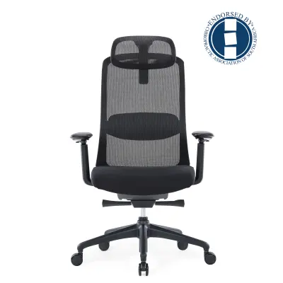 ares-highback-mesh-chair-with-adjustable-headrest-black_1.jpg