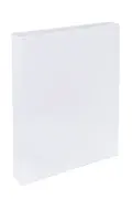 clear-overlay-file-ring-binder-a4-2dring-40mm-pvc-white-w2d40.jpg