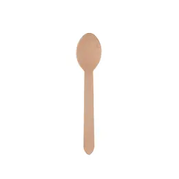Green Home Wooden Spoon Pack 100