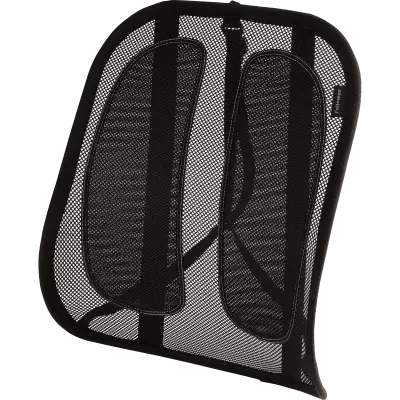 fellowes-office-suites-mesh-back-support.jpg