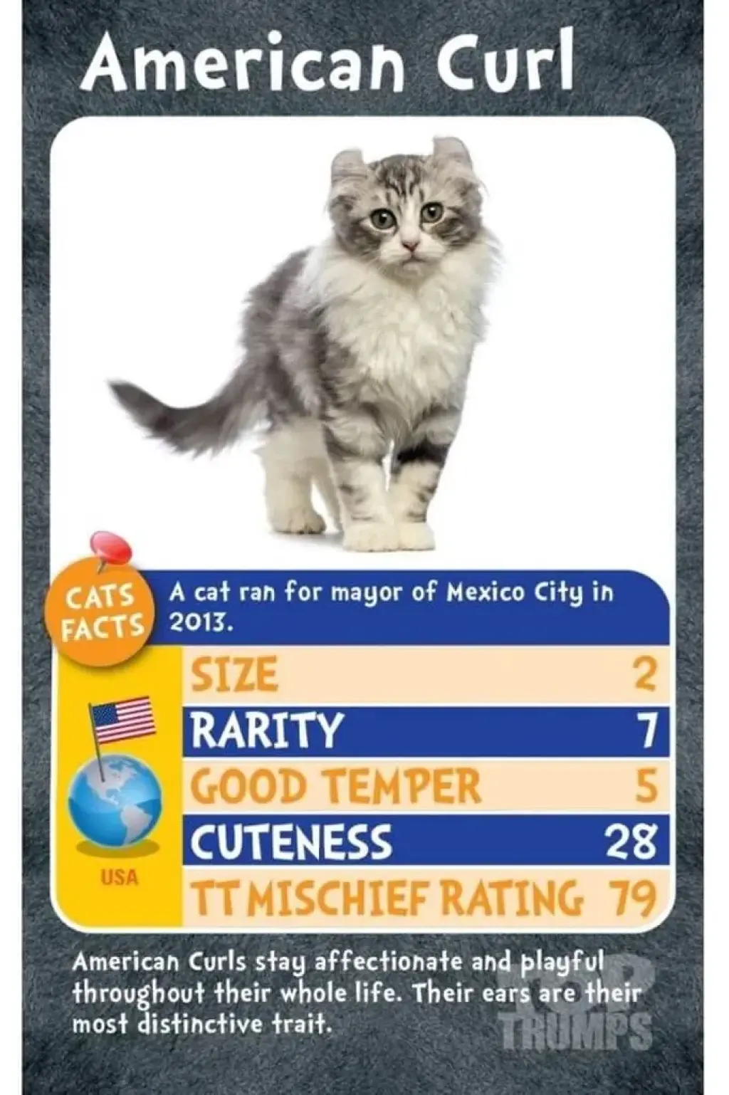 top-trumps-cats-kittens-card-games-23696-each_1.jpg