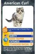 top-trumps-cats-kittens-card-games-23696-each_1.jpg