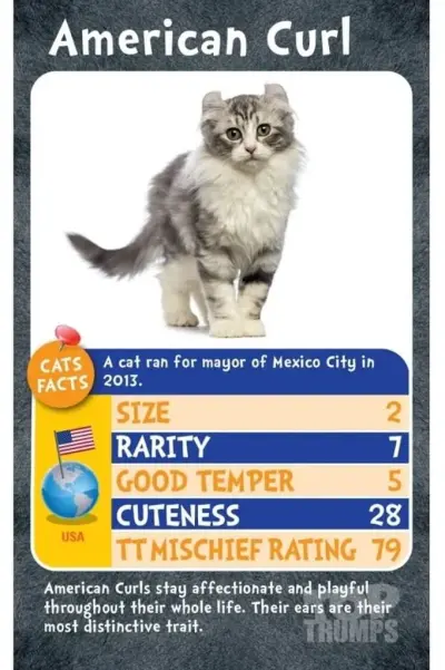 top-trumps-cats-kittens-card-games-23696-each_1.jpg