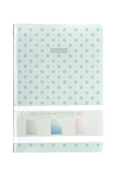 3-pack-notebook-pastel-green_1.jpg