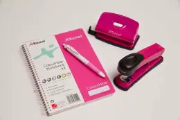 Rexel Coloured Stapler Punch Notebook And Pen Set