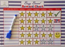 Buzz Board Drywipe Board A4 Magnetic Reward Chart (Plus Accessories)