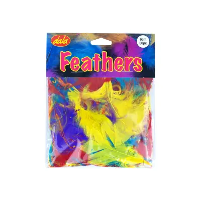 dala-6cm-feathers-assorted-pk50.jpg