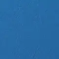 Rexel Binding Covers, A4, 285gsm, Leather Finish Board - Blue image
