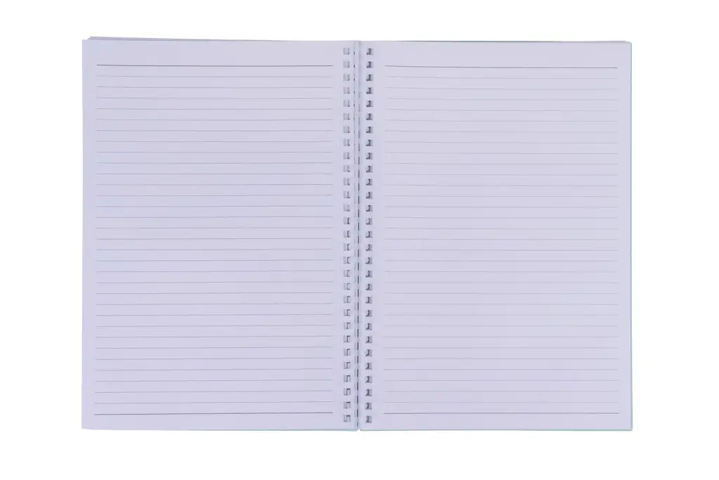 waltons-primeline-wirobound-student-notebook-b5-feint-ruled-160pg-mint_1.jpg
