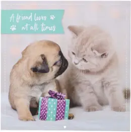 A Friend Loves Large Calendar 2022 (CAL202)