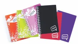 A4 PAGE-A-DAY DEOFLE- PVC COVER / WIROBOUND - Assorted