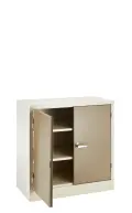 Stationery Cupboard-900Hx900Wx450D-2 Shelves - Ivory/Karoo image