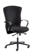 Bodyline HB chair  simple synchron mechanism  Flexi arm - Contract Black image