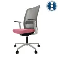 ally-white-frame-grey-mesh-backrest-and-upholstered-seat-in-fiji-azalea_1.jpg