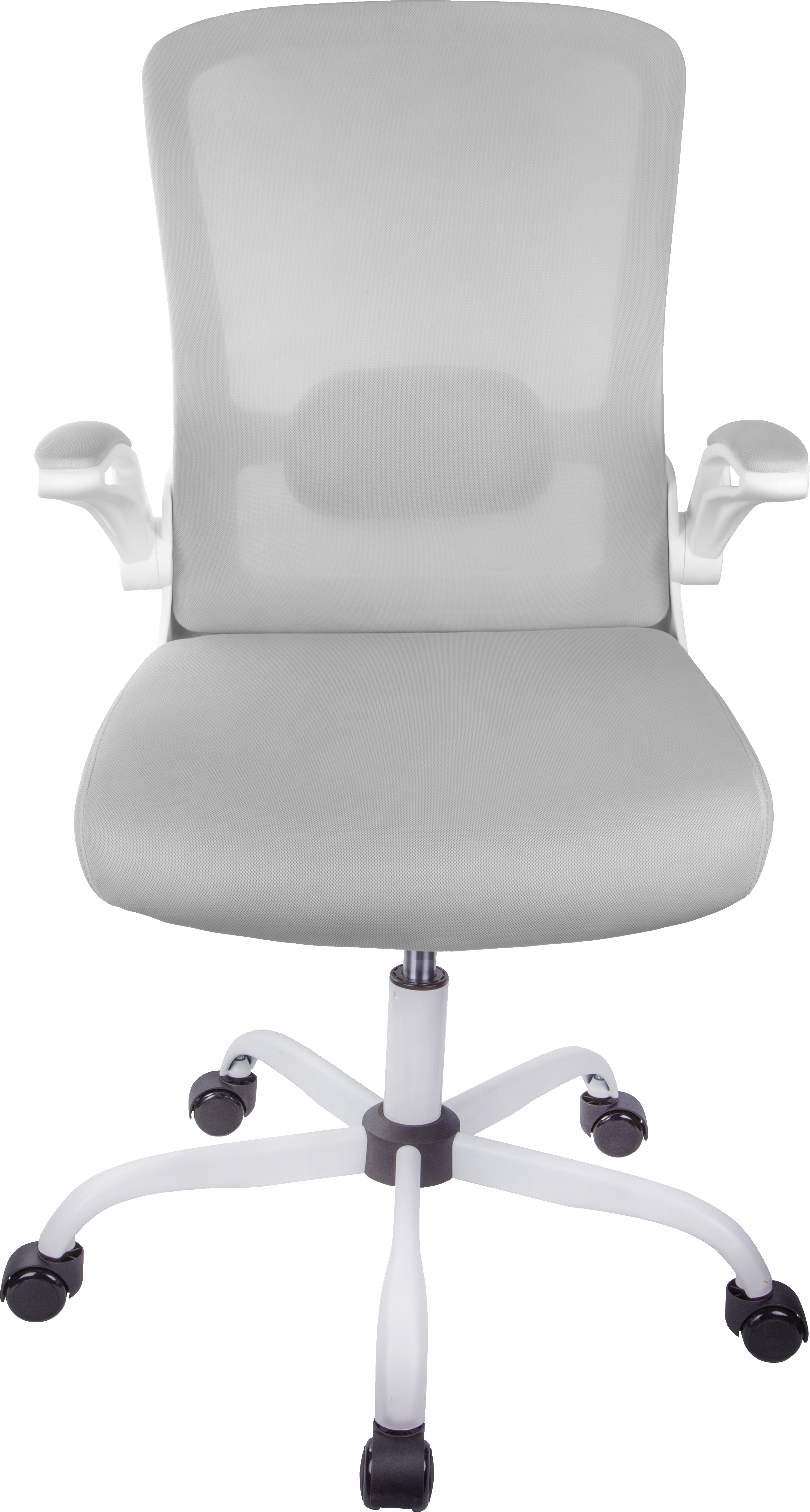 o*o様 ACME Furniture - WARNER ARM CHAIR como-midback-grey-trim-