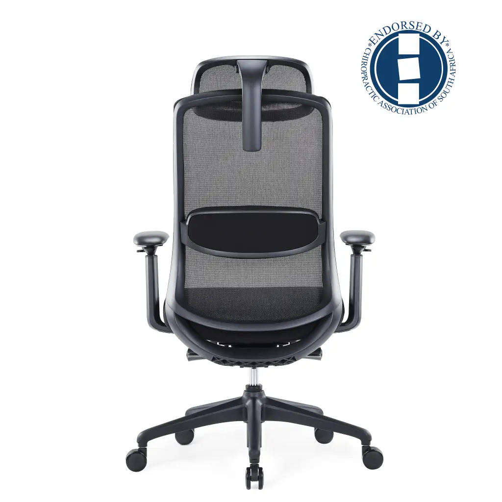 ares-highback-mesh-chair-with-adjustable-headrest-black_4.jpg
