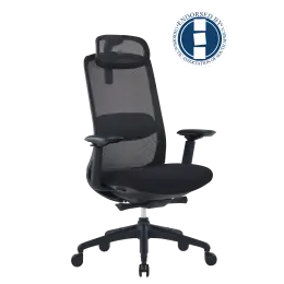 Use Ares code 546798 for headrest  - Black