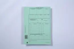 HORTORS Execution Cover K File, Green