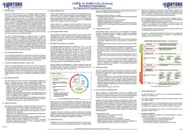 Hortors A1 Covid 19 (Issued In Terms of 10.8 of The National Disaster Regulations) HOR82