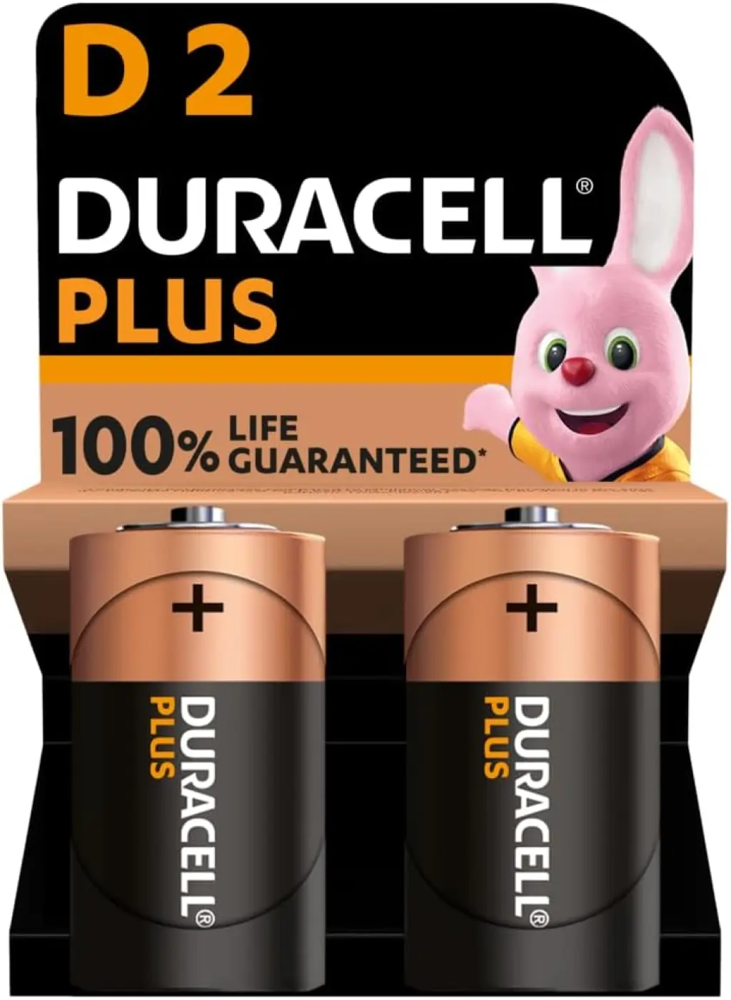 duracell-battery-alkaline-large-torch-1-5v-d-mn1300b2-pack-2-dur001.jpg