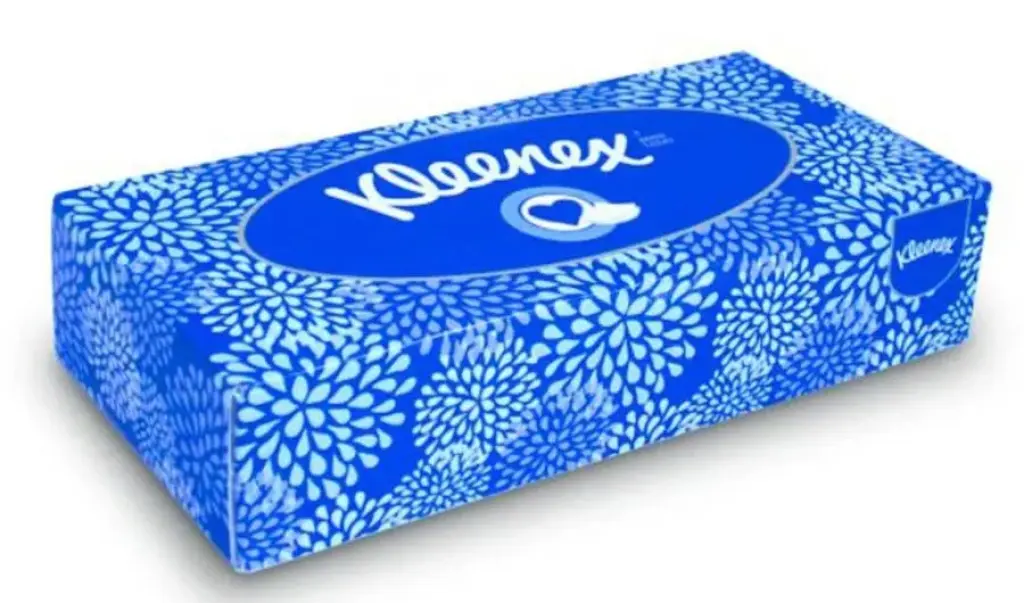 kleenex-facial-tissues-boxed-2-ply-white-box-of-100.jpg