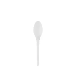 Green Home CPLA  Large Teaspoon Pack 100