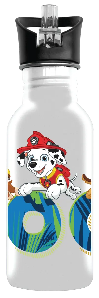 paw-patrol-boys-aluminium-drinking-bottles-2-designs.jpg
