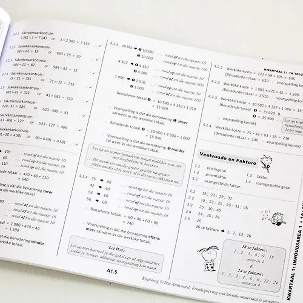 Die Antwoord-Reeks: Gr 8 Wiskunde 2in1 Studiegids