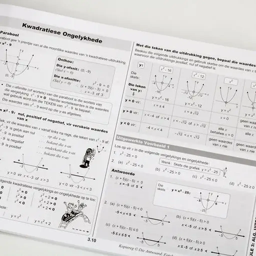 Die Antwoord-Reeks: Gr 11 Wiskunde 3in1 Studiegids