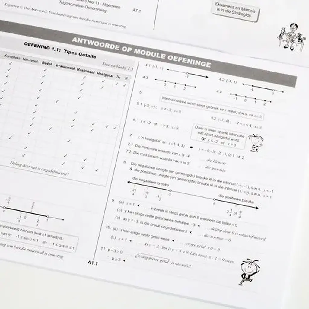 Die Antwoord-Reeks: Gr 11 Wiskunde 3in1 Studiegids