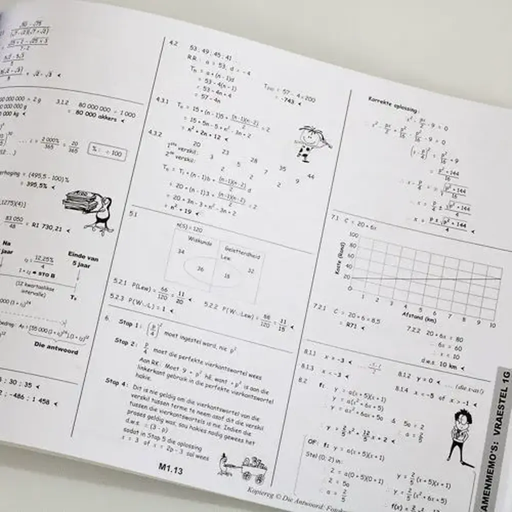 Die Antwoord-Reeks: Gr 11 Wiskunde V&A Studiegids
