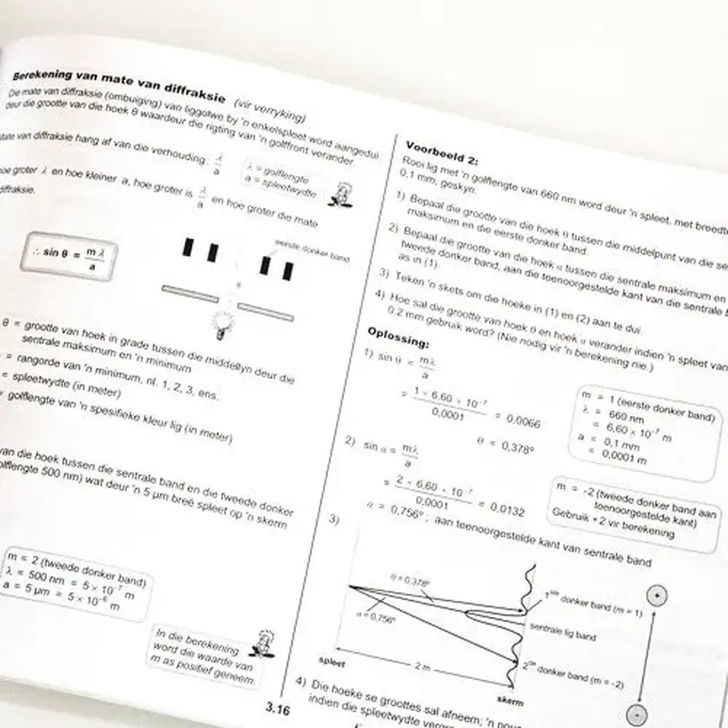 Die Antwoord-Reeks: Gr 11 Fisiese Wetenskappe 3in1 Studiegids