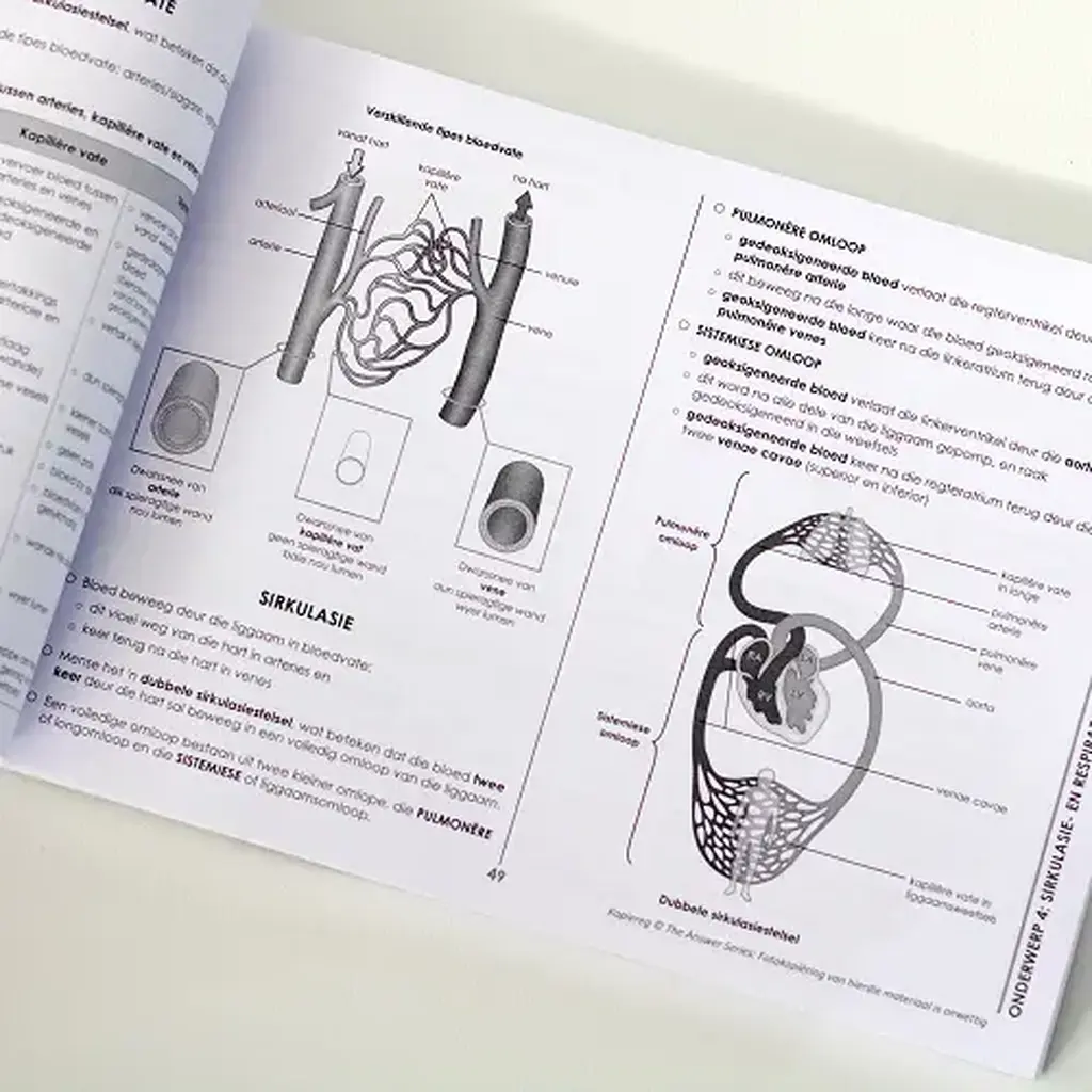 Die Antwoord-Reeks: Gr 9 Natuurwetenskappe 3in1 Studiegids