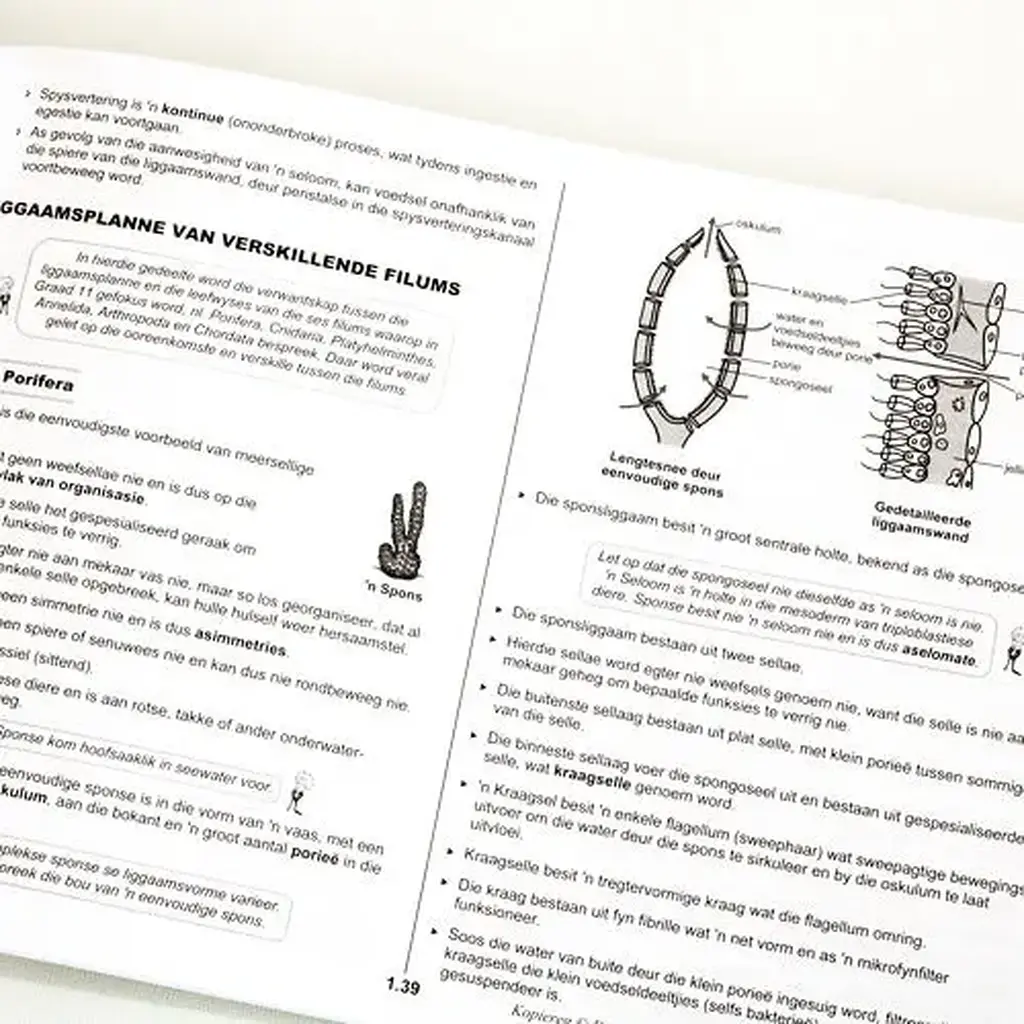 Die Antwoord-Reeks: Gr 11 Lewenswetenskappe 3in1 Studiegids