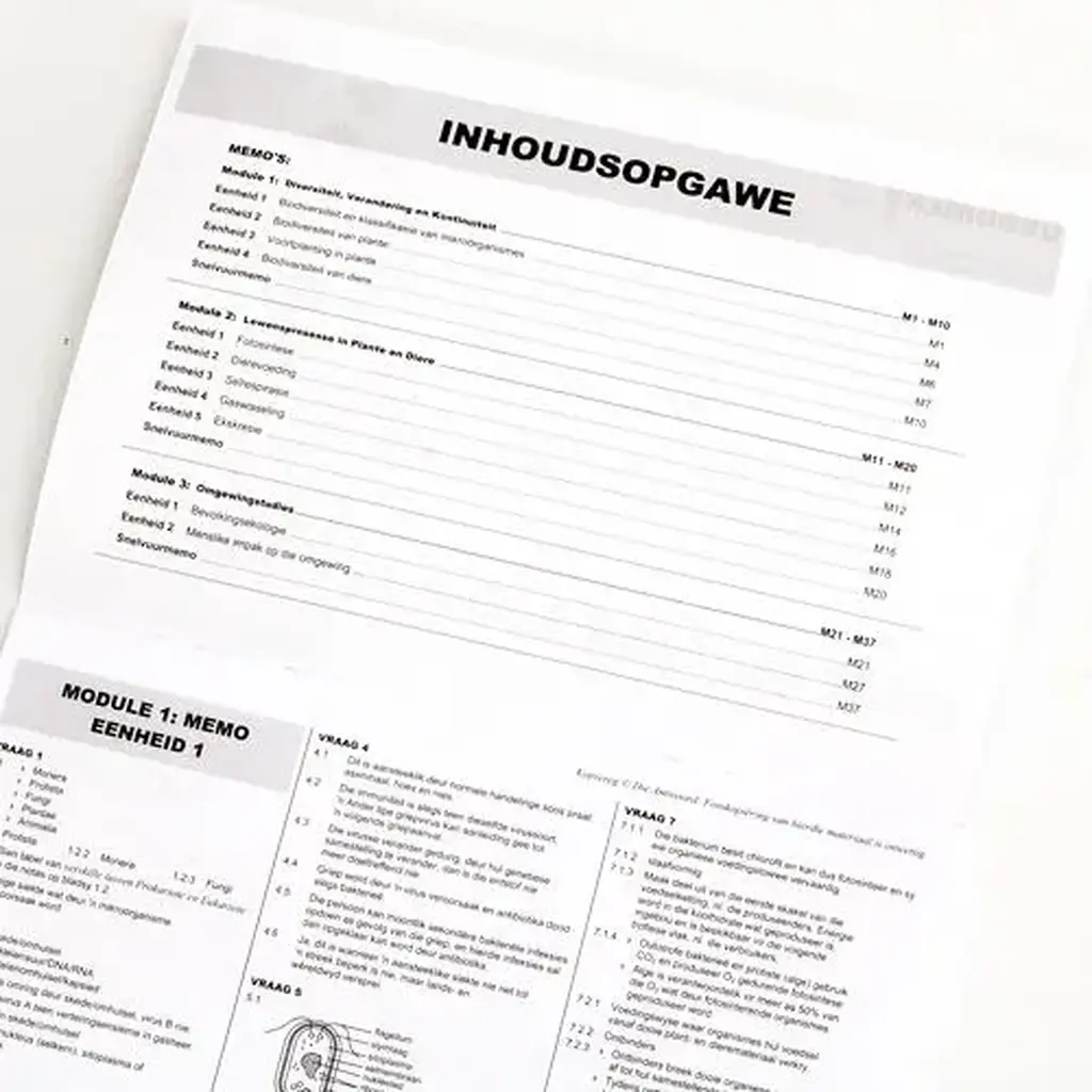 Die Antwoord-Reeks: Gr 11 Lewenswetenskappe 3in1 Studiegids