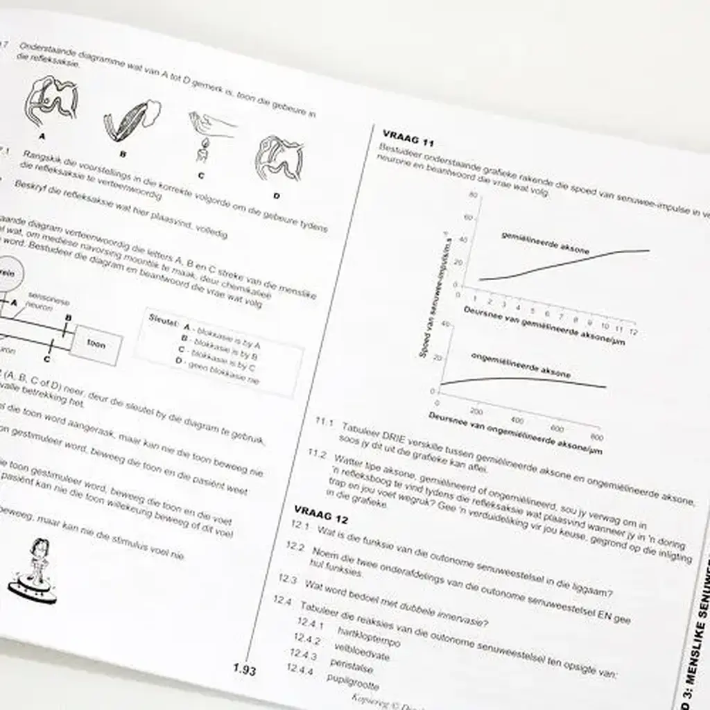 Die Antwoord-Reeks: Gr 12 Lewenswwetenskappe DEEL 1 3in1 Studiegids