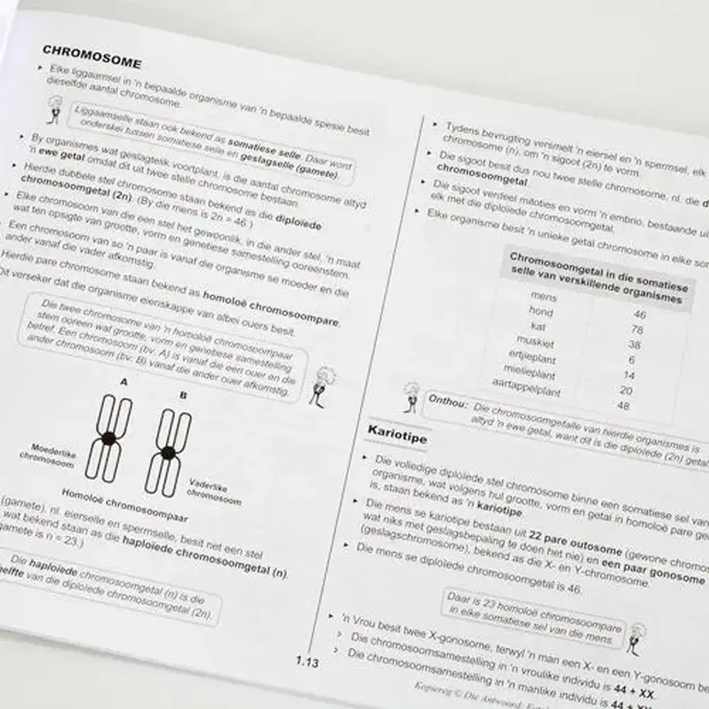 Die Antwoord-Reeks: Gr 12 Lewenswetenskappe DEEL 2 3in1 Studiegids