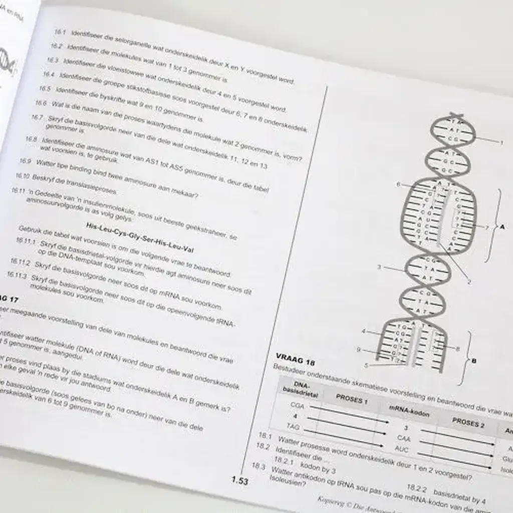 Die Antwoord-Reeks: Gr 12 Lewenswetenskappe DEEL 2 3in1 Studiegids