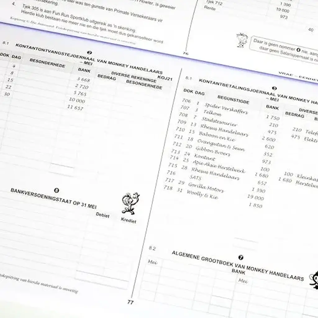 Die Antwoord-Reeks: Gr 11 Rekeningkunde 3in1 Studiegids